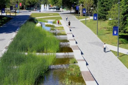 我公司中標大英縣小溪河景觀改造項目、魁山公園改造項目安全評價服務(wù)